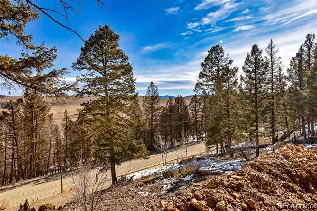 1423 Redhill Road Fairplay, CO 80440