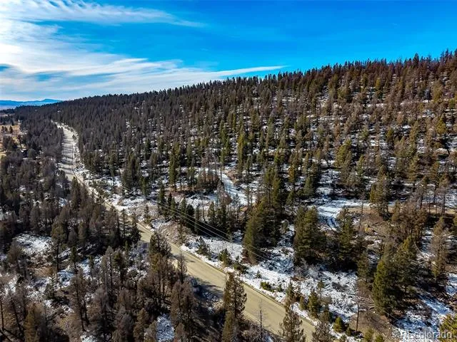 1423 Redhill Road Fairplay, CO 80440