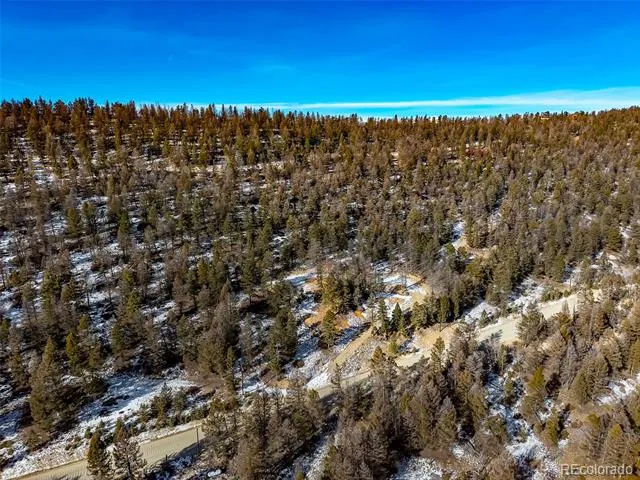 1423 Redhill Road Fairplay, CO 80440