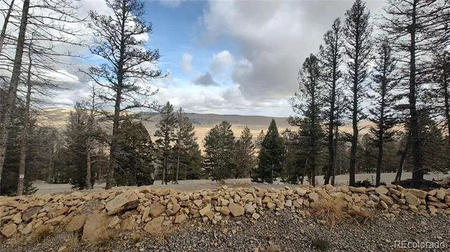 1423 Redhill Road Fairplay, CO 80440
