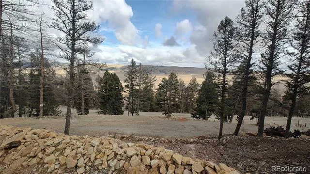 1423 Redhill Road Fairplay, CO 80440