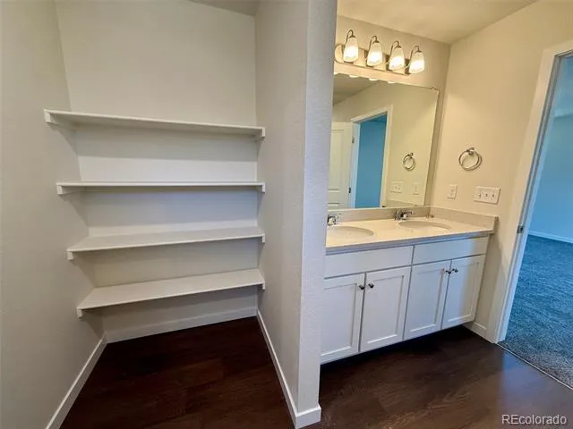 776 Carrie Court Watkins, CO 80137