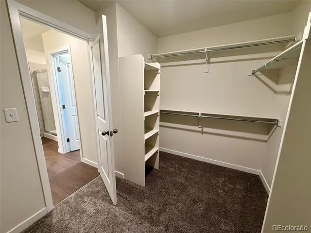 776 Carrie Court Watkins, CO 80137
