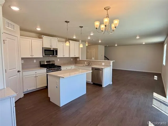 776 Carrie Court Watkins, CO 80137