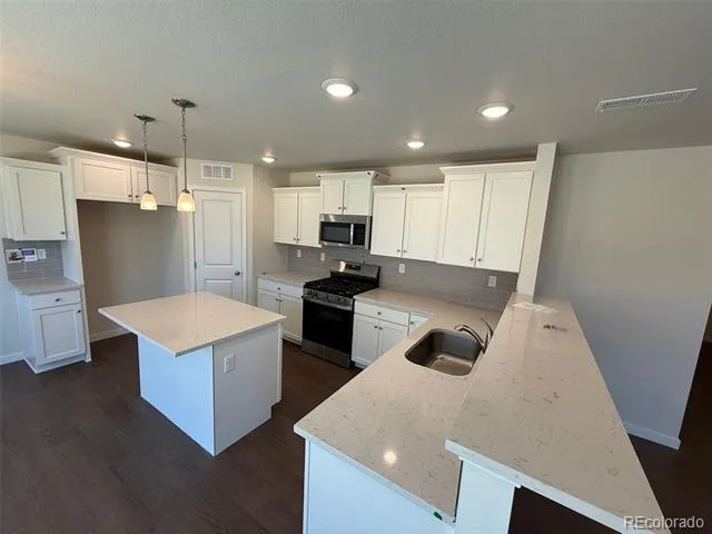 776 Carrie Court Watkins, CO 80137
