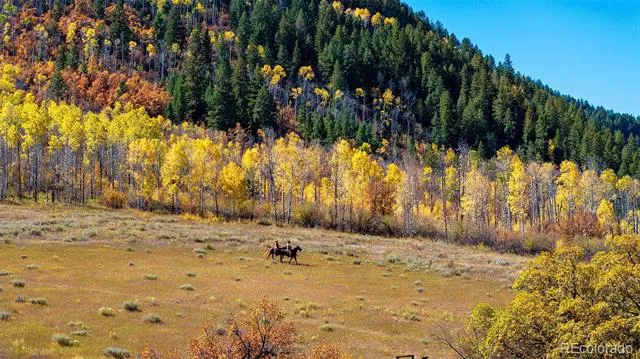 30680 County Road 12 Somerset, CO 81434