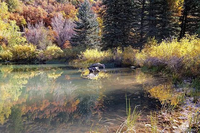 30680 County Road 12 Somerset, CO 81434