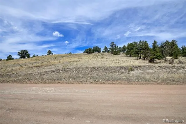 109 High Pasture Road Florissant, CO 80816
