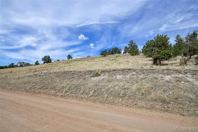 109 High Pasture Road Florissant, CO 80816