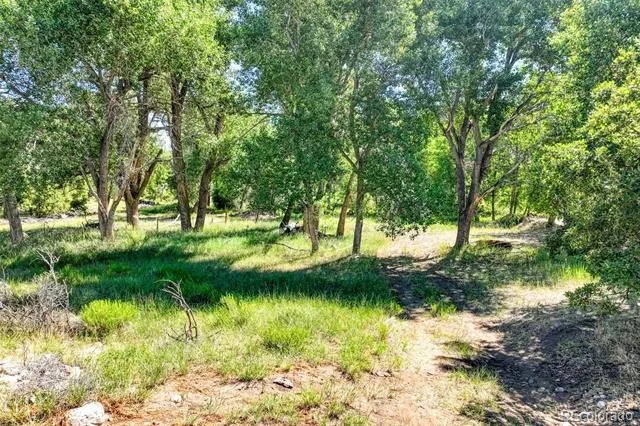 1218 Colunty Road 32X Wetmore, CO 81226