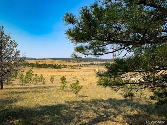 17222 County Road 78 Calhan, CO 80808