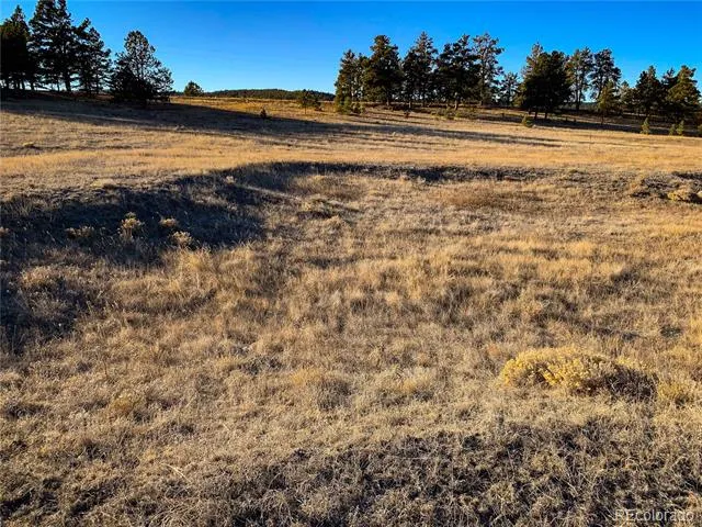 17222 County Road 78 Calhan, CO 80808
