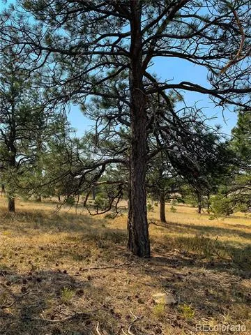 17222 County Road 78 Calhan, CO 80808