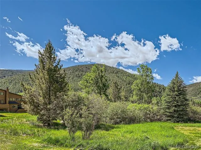 620 Tennis Club Road #1339 Dillon, CO 80435