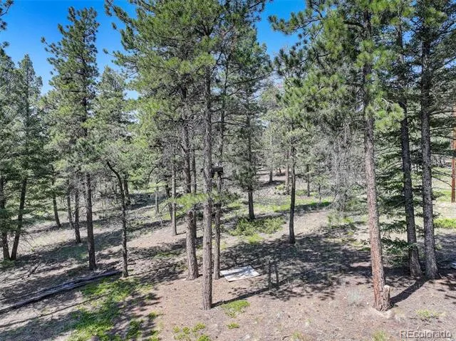 1002 Indian Creek Road Florissant, CO 80816