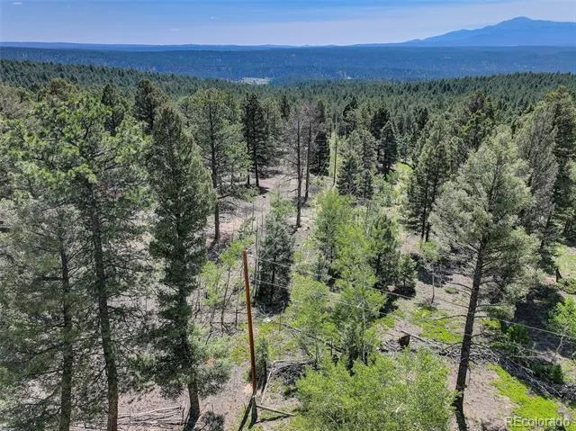 1002 Indian Creek Road Florissant, CO 80816