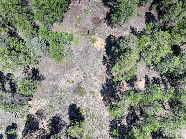 1002 Indian Creek Road Florissant, CO 80816