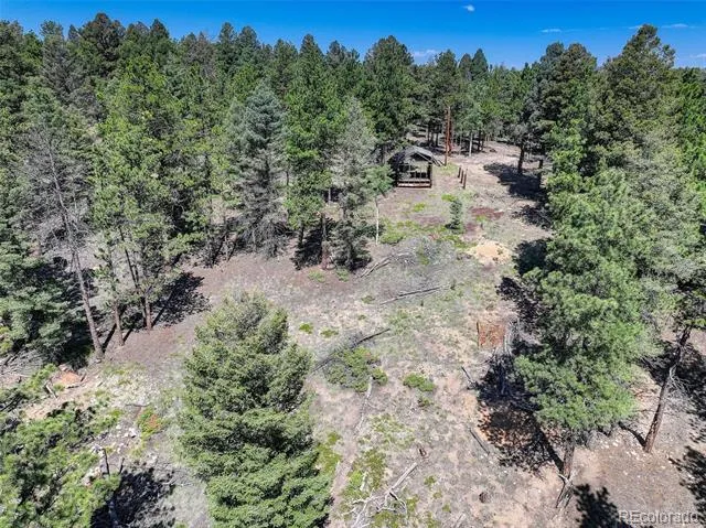 1002 Indian Creek Road Florissant, CO 80816