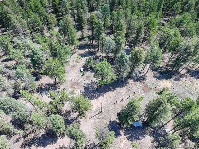 1002 Indian Creek Road Florissant, CO 80816