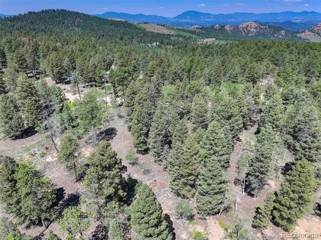 1002 Indian Creek Road Florissant, CO 80816
