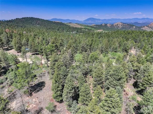 1002 Indian Creek Road Florissant, CO 80816