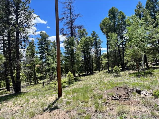 1002 Indian Creek Road Florissant, CO 80816