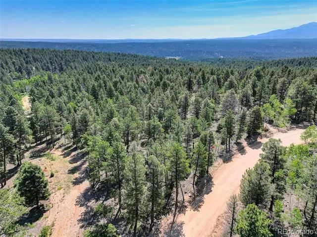 1002 Indian Creek Road Florissant, CO 80816