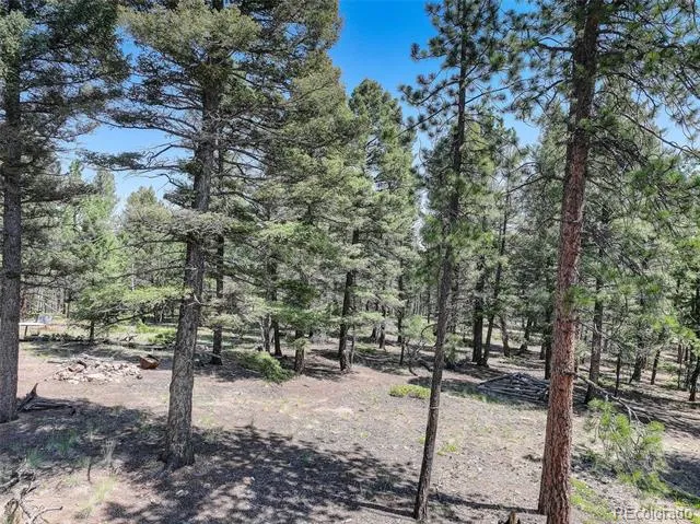 1002 Indian Creek Road Florissant, CO 80816