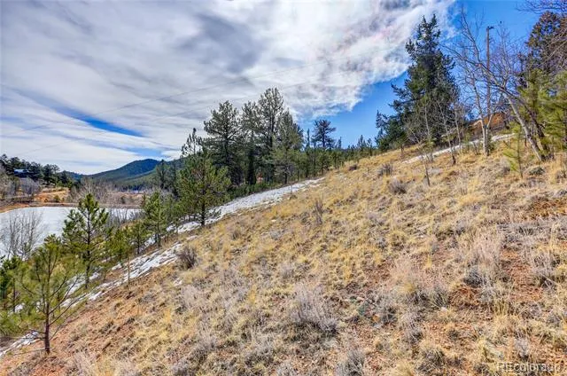 147 Ward Street Bailey, CO 80421