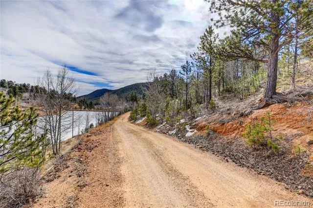 147 Ward Street Bailey, CO 80421