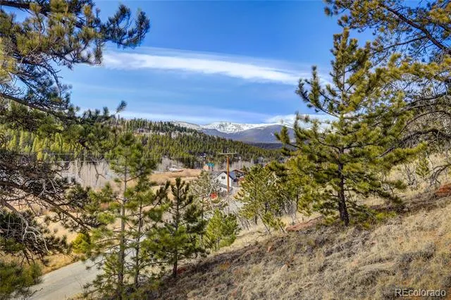147 Ward Street Bailey, CO 80421