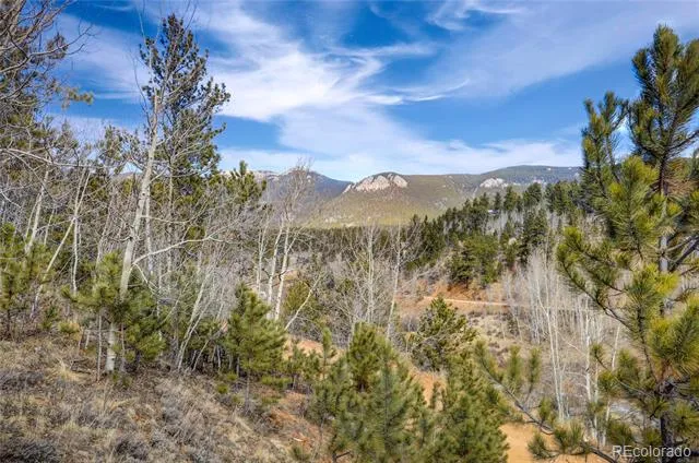 147 Ward Street Bailey, CO 80421