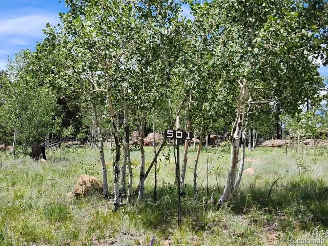 501 Cr-403 Florissant, CO 80816