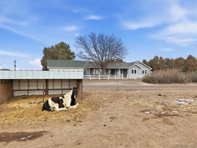 3127 County Road 49 Hudson, CO 80642