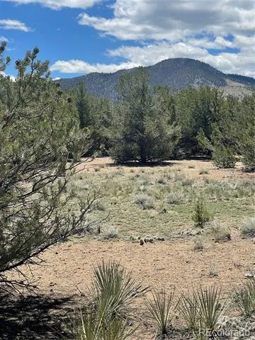 12510 Country Meadow Lane Salida, CO 81201