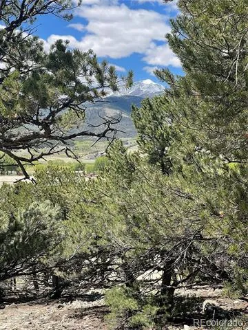 12510 Country Meadow Lane Salida, CO 81201
