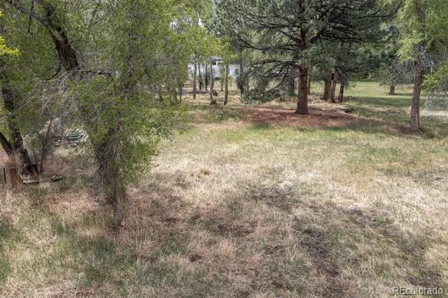 Address Not Shown Buena Vista, CO 81211