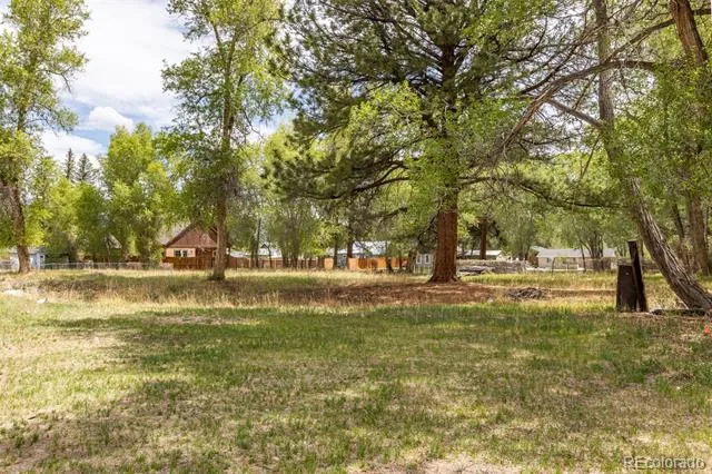 Address Not Shown Buena Vista, CO 81211