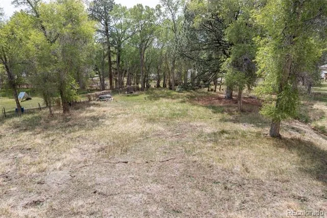 Address Not Shown Buena Vista, CO 81211