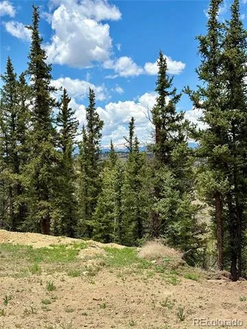 84 Konik Lane Como, CO 80432