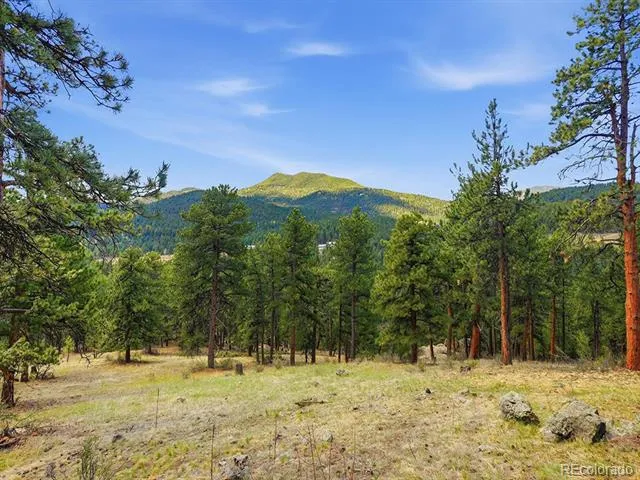 7062 Peaceful Hills Road Morrison, CO 80465