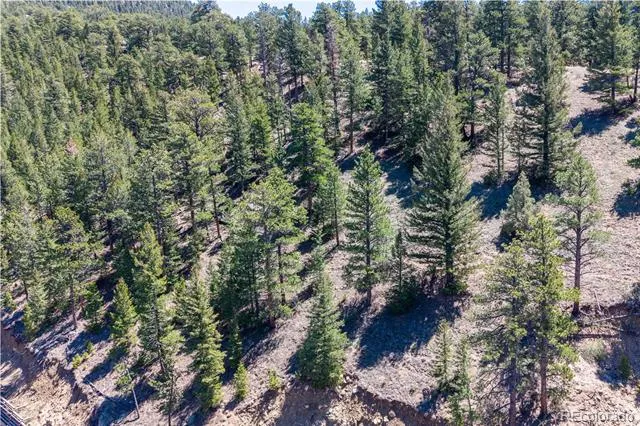 2348 Aspen Knoll Drive Estes Park, CO 80517