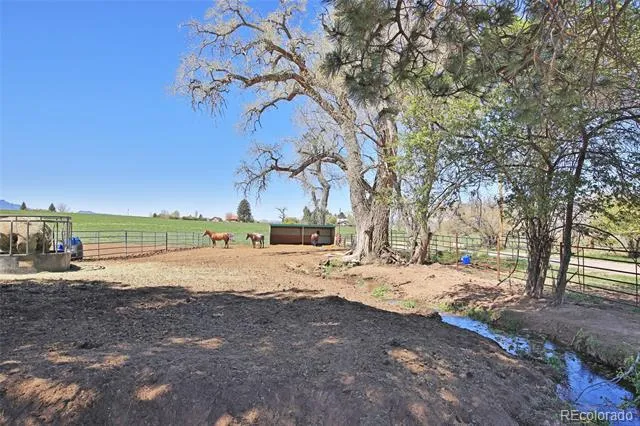 Address Not Shown Collbran, CO 81624