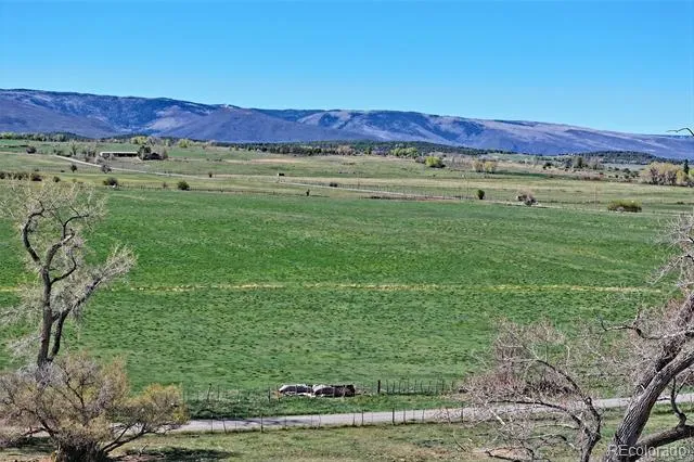 Address Not Shown Collbran, CO 81624
