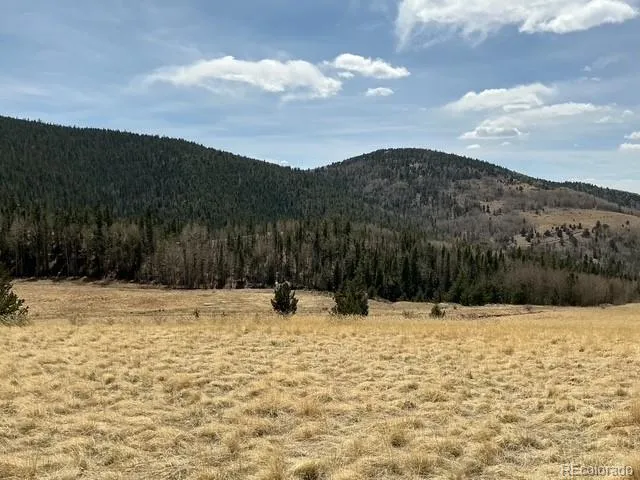 00 Rhyolite Mountain Mesa Cripple Creek, CO 80813