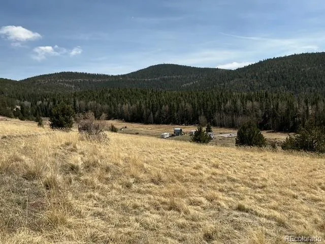 00 Rhyolite Mountain Mesa Cripple Creek, CO 80813