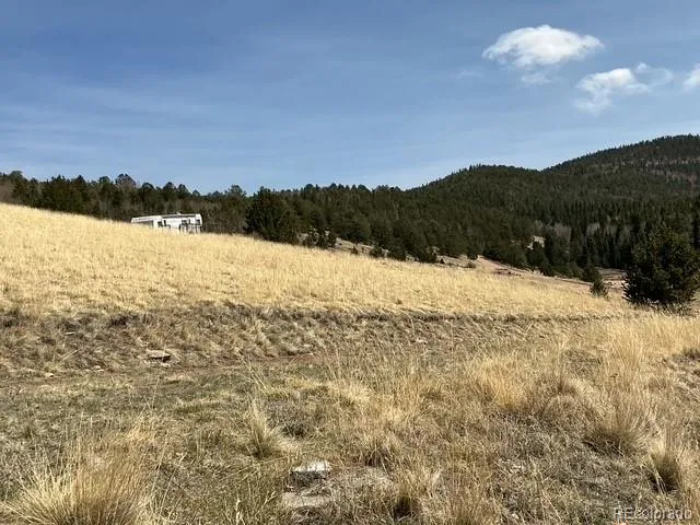 00 Rhyolite Mountain Mesa Cripple Creek, CO 80813