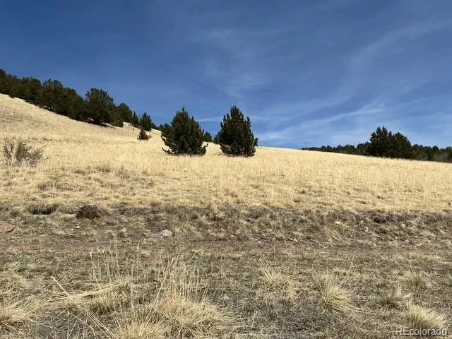 00 Rhyolite Mountain Mesa Cripple Creek, CO 80813
