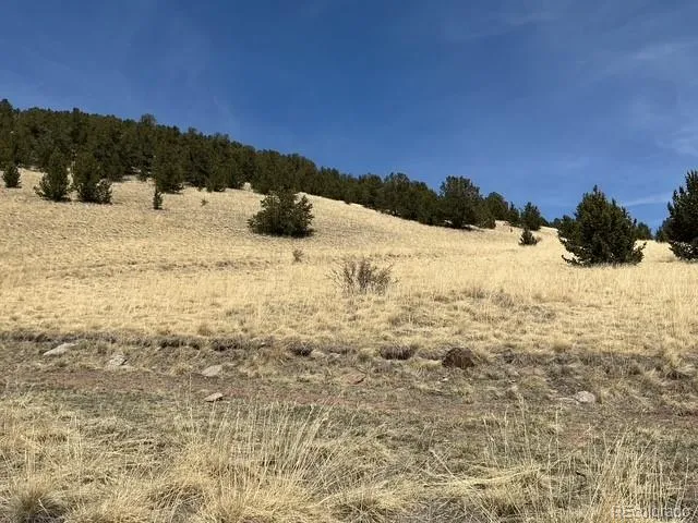 00 Rhyolite Mountain Mesa Cripple Creek, CO 80813