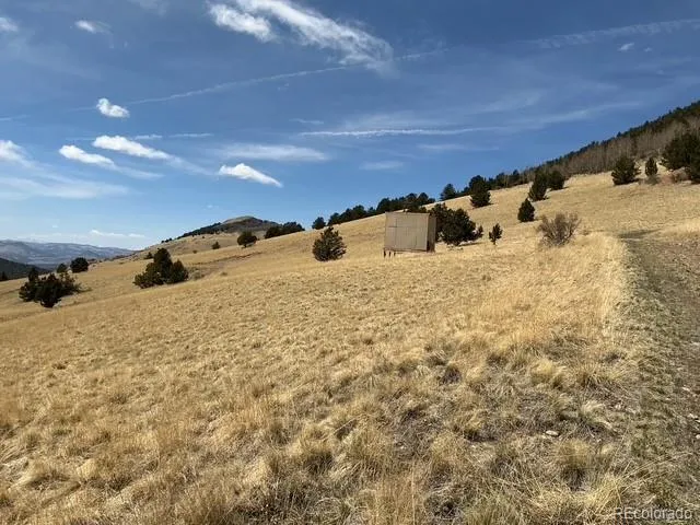 00 Rhyolite Mountain Mesa Cripple Creek, CO 80813